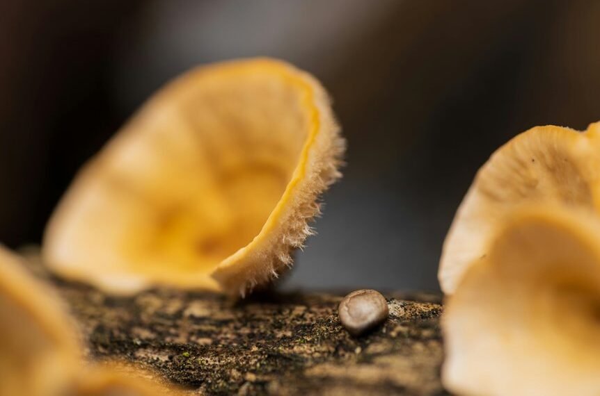 sequencing log for samples